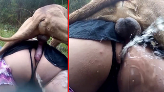 الكلب القرني يمارس الجنس مع سيدته في جميع الثقوب – سكس حيونات